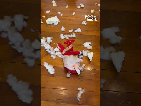 Labradors Destroy Toy Santa In Kitchen