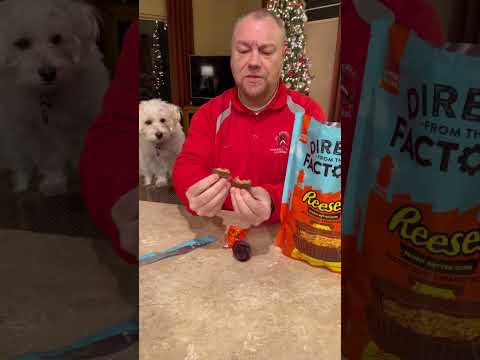 Reese's Peanut Butter Cups - Direct From The Factory