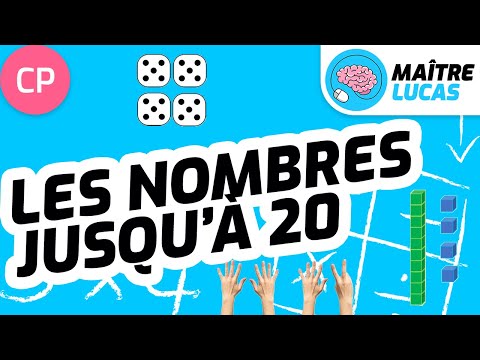 Les nombres jusqu'à 20 CP - Cycle 2 - Maths - numération