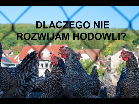 , title : 'Odcinek 438 DLACZEGO NIE ROZWIJAM HODOWLI? CO JEST TEGO POWODEM? CZY WARTO WCHODZIĆ W TĄ BRANŻĘ?RADY'