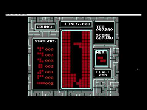 Getting Rebirth in Crunch Mode (w/ Super Killscreen!) #tetris #tetrisgame #rebirth #short