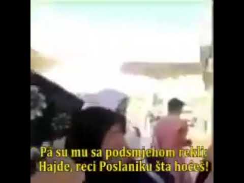 ljubav prema Poslaniku a.s