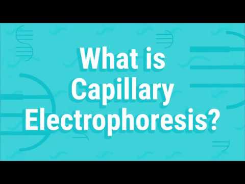 What Is Capillary Electrophoresis?