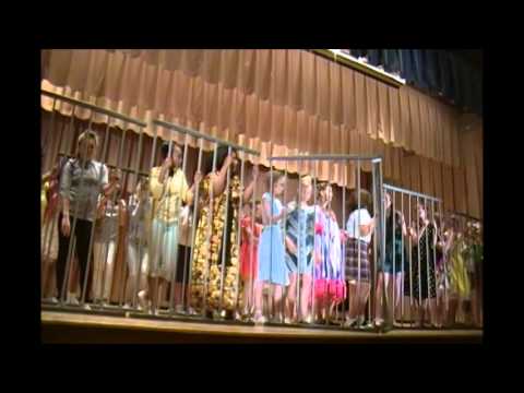 Hairspray Jr - Spring Ridge Middle School 4/25/2015