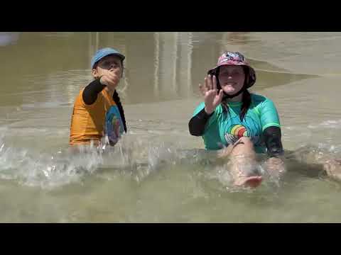 Surfing the Spectrum 2024