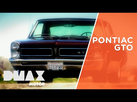 Pontiac GTO | Die Gebrauchtwagenprofis | DMAX Motor
