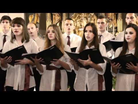 Zbor Allegro - Ćuk sedi