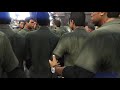 37 Lamars Roast Franklin