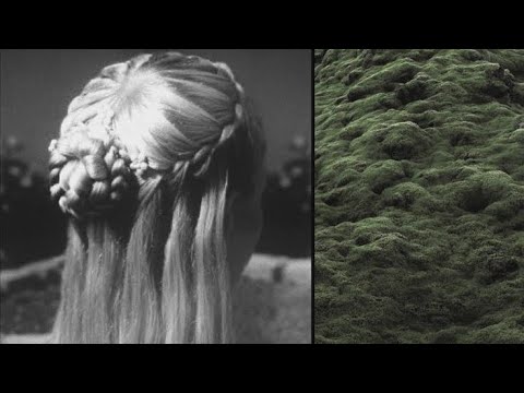 la criatura entre los árboles, en lo profundo del bosque