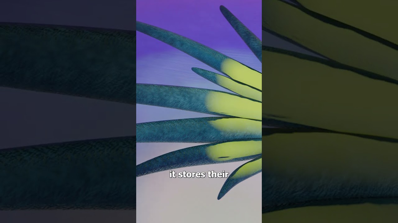 How The Blue Dragon Stings 😨