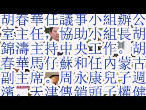 胡春华任议事小组办公室主任，协助小组长胡锦涛主持中央工作。胡春华马仔苏和任内蒙古副主席。周永康儿子周滨。天津传销头子，权健束昱辉和天狮李金元，内蒙古副主席奇巴图。