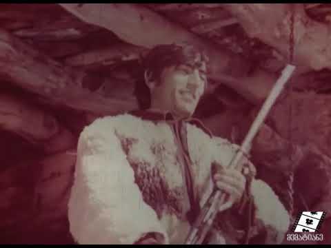 ბაკურხეველი ხევსური