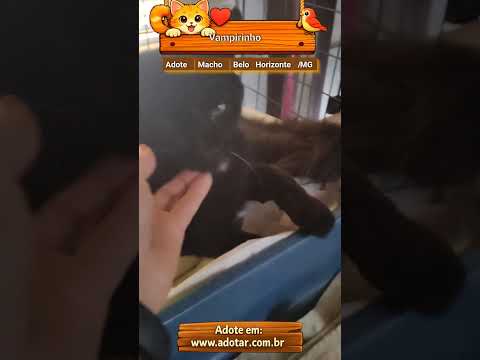 Vídeo de Vampirinho