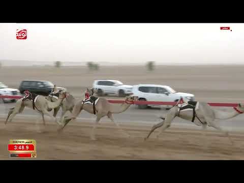 ش 5 (المسك) لـ نايل راشد بن سيف النايلي الشامسي 6:16:36 ، مهرجان العين 2026/08/06 إيذاع الروضة