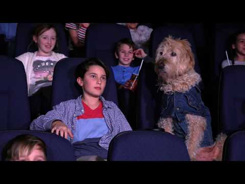 Pup Star: Better 2Gether Movie Manners at Cineplex
