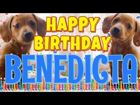Happy Birthday Benedicta! ( Funny Talking Dogs ) What Is Free On My Birthday