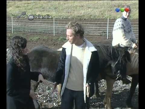 Iceland "Viking Horses", Mundo Zoo - Around the World
