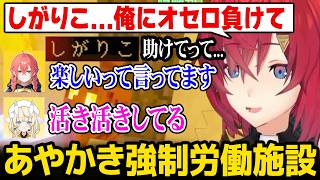 【あらなみマイクラ】「あやかき&Y4T4強制労働施設」を見てしまい恐怖するアンジュ【にじさんじ】