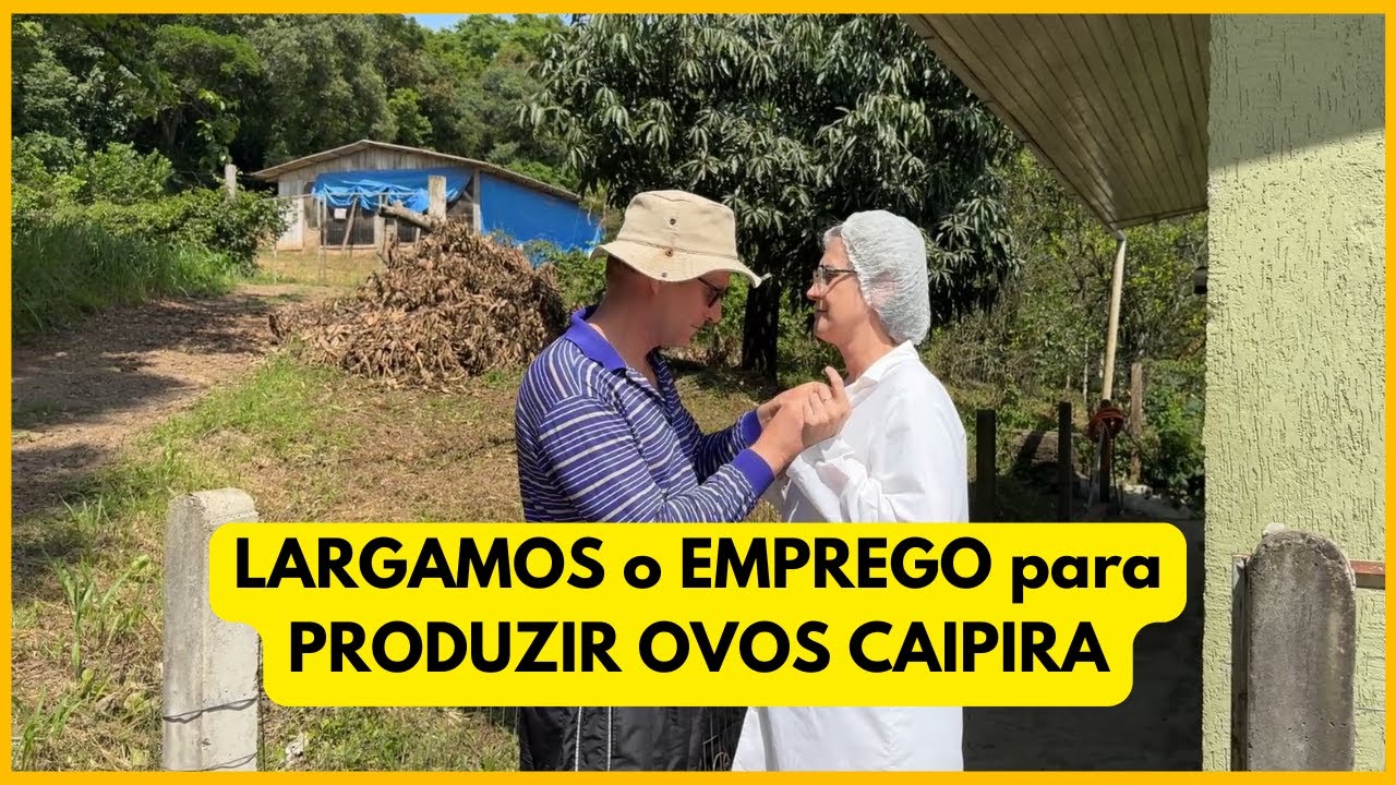 LARGAMOS o EMPREGO para CRIAR GALINHAS POEDEIRAS: capacidade para 2.750 em 5 galpões