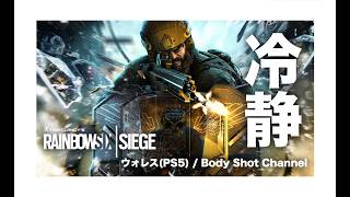 【R6S】ホロサイトCが見やすい