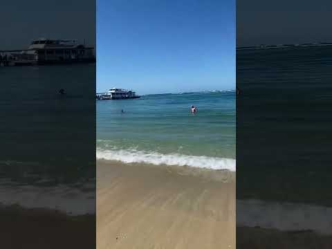 👀duke Paoa Kahamanoka beach park #waikiki beautiful vibes 🌊🙂follow