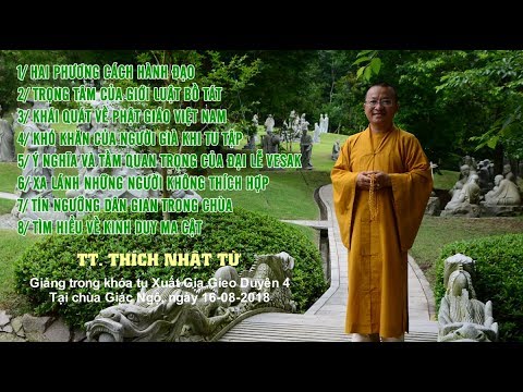 Vấn đáp: Hai phương cách hành đạo, trọng tâm của giới luật bồ tát - TT. Thích Nhật Từ 