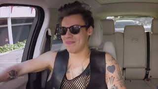 Harry Styles || Lovebug