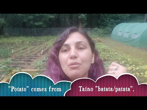 How to Grow Potatoes 🥔 🍠 🎉