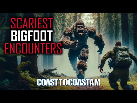 Bigfoot: Terror in The Woods, Sightings & Encounters… YOU KNOW HE IS OUT THERE!