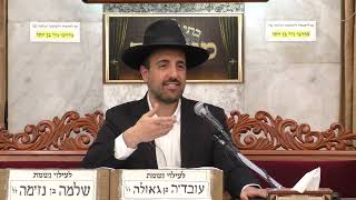 הרב מאיר אליהו | פסח | מוסאיוף - ה'תשפ"ב (הרב מאיר אליהו) - התמונה מוצגת ישירות מתוך אתר האינטרנט יוטיוב. זכויות היוצרים בתמונה שייכות ליוצרה. קישור קרדיט למקור התוכן נמצא בתוך דף הסרטון