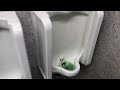 1083 1960 Standard Bathroom With Replacement Toilets