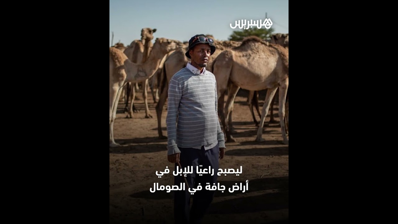 موظف يستغني عن وظيفة مكتبية مرموقة في كندا ليعود إلى رعي الإبل في بلده.. فما قصته؟ thumbnail