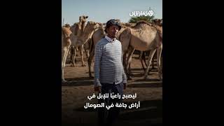 موظف يستغني عن وظيفة مكتبية مرموقة في كندا ليعود إلى رعي الإبل في بلده.. فما قصته؟ thumbnail