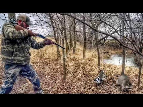 Crazy Close Raccoon Calling: GOAT VID!!! - Kansas Raccoon Hunting