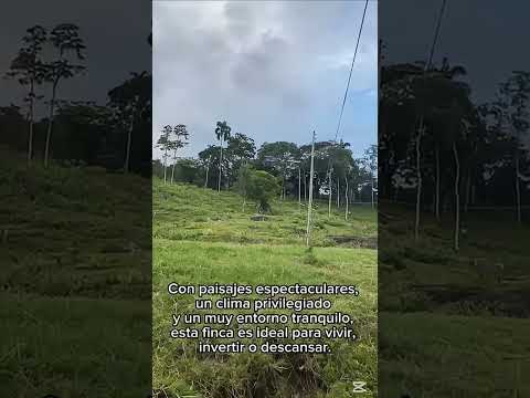 Finca 14 Hectáreas en Chaguaní Cundinamarca | Ideal para Loteo e Inversión