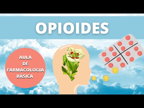 The Basics of Opioids