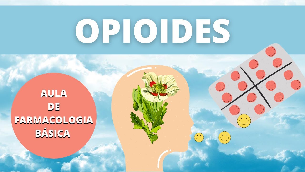 O BÁSICO SOBRE OPIOIDES