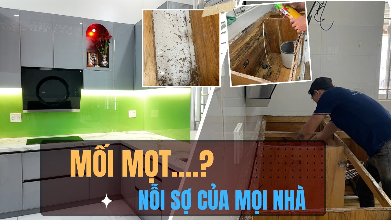 Nâng Cấp Không Gian Bếp Với Tủ Bếp Inox Cánh Kính