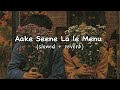 Aake Seene La Le Menu Slowed Reverb Sad Song