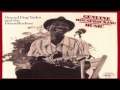 Hound Dog Taylor - Crossroads