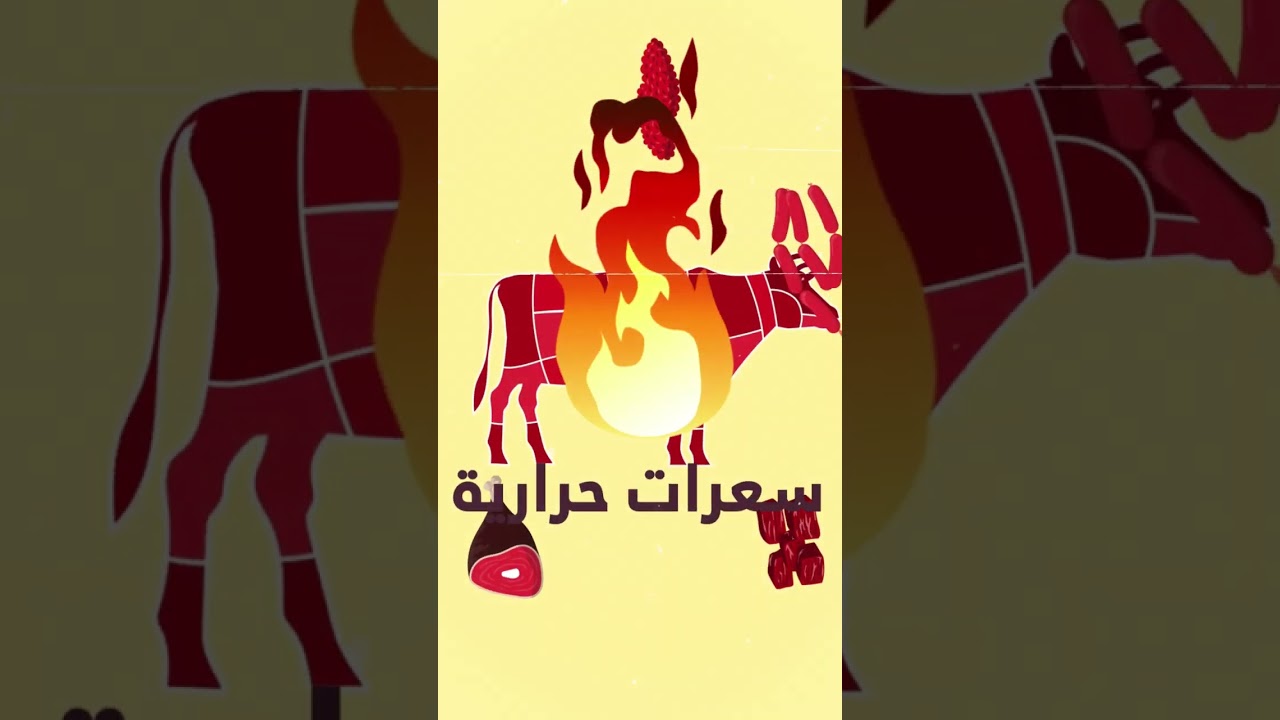 Video 5