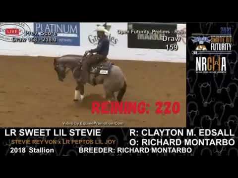 2021 NRCHA Futurity  Highlights