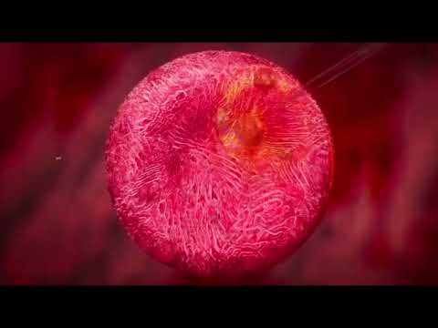 RIAL SIX x BELLAKEO INC - DESAHOGO (VISUALIZER BY DIAMOND BLACK)