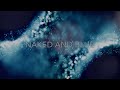 Pamela Claire Naked And Blue Lyric Video