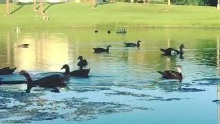 Memento Mori | Breath