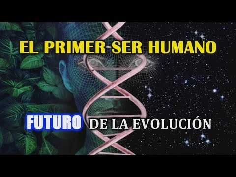 How was the first human born? Origin of the human being