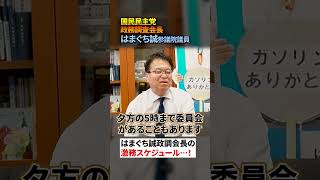 国民民主党はまぐち誠政調会長のスケジュール #仕事#国民民主党
