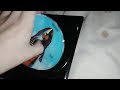 Destroying Jules Verne S Rocket To The Moon DVD Disc