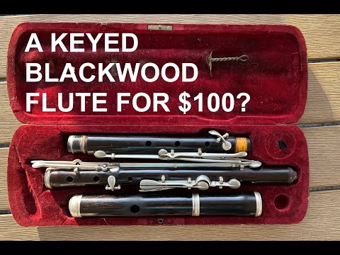 A Keyed Blackwood Irish Flute for $100? The Nach Meyer flute in 5 minutes