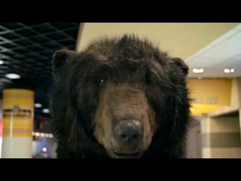 Bruins Hockey Rules_Tuck in